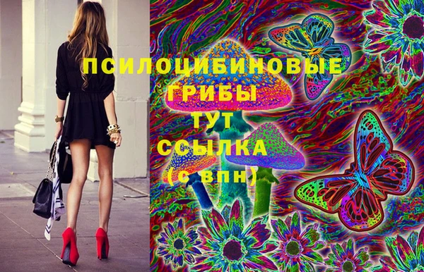 стафф Вязьма